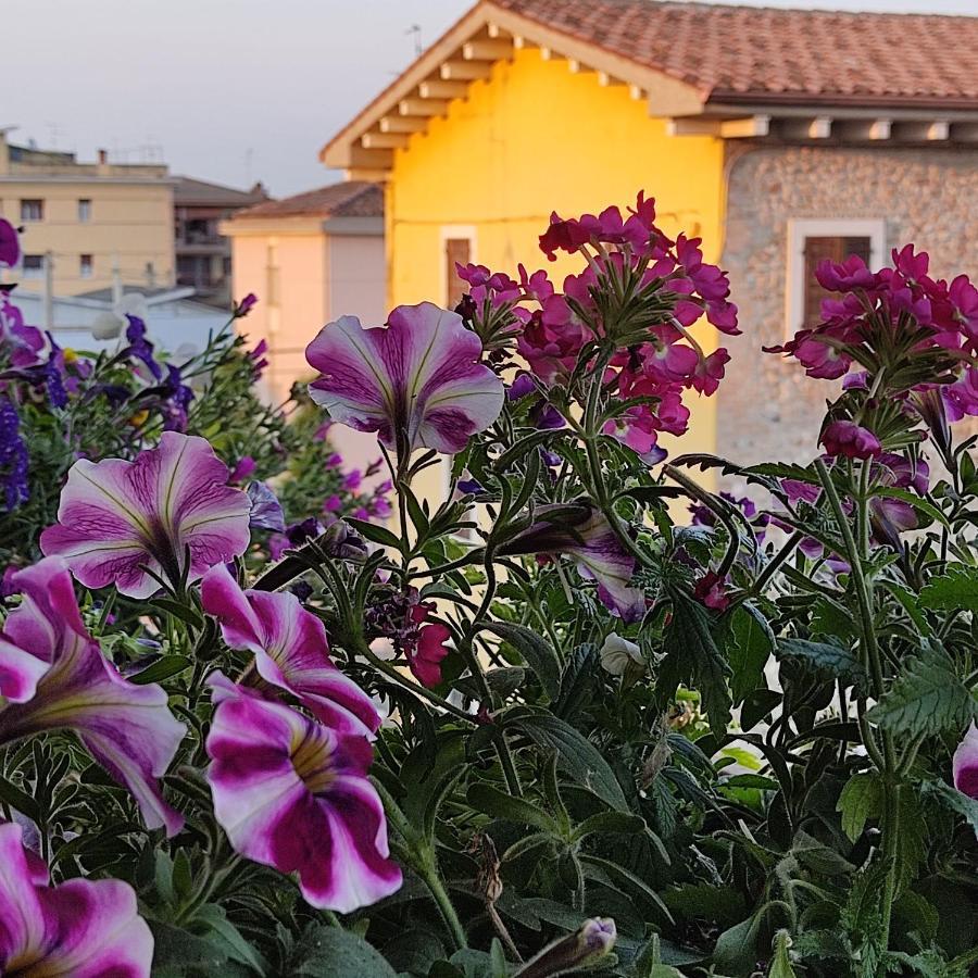 Lovely Casa Paola Villlafranca Centro Zimmer Rooms Villafranca di Verona Exteriör bild